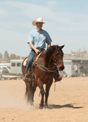 Josh White Auctions